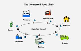 blockchain food impatto